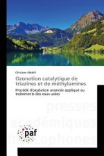 Ozonation Catalytique de Triazines Et de Methylamines
