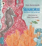 Seahorse: The Shyest Fish in the Sea