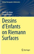 Dessins d'Enfants on Riemann Surfaces