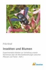 Insekten und Blumen