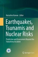 Earthquakes, Tsunamis and Nuclear Risks