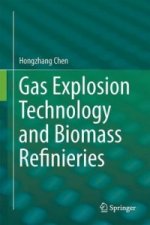 Gas Explosion Technology and Biomass Refinery