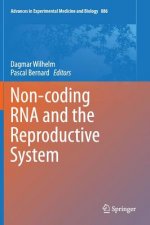 Non-coding RNA and the Reproductive System