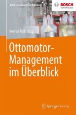 Ottomotor-Management im Uberblick