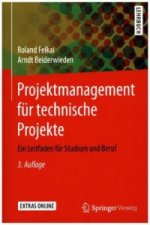 Projektmanagement fur technische Projekte