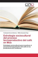 Estrategia sociocultural del proceso tecnoproductivo del cafe en Moa