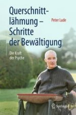 Querschnittlahmung - Schritte der Bewaltigung