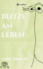 Blitze am Leben