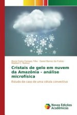 Cristais de gelo em nuvem da Amazonia - analise microfisica