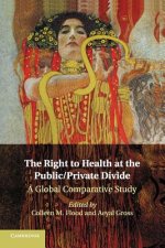Right to Health at the Public/Private Divide