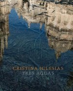 Cristina Iglesias: Tres Aguas