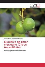 cultivo de limon mexicano (Citrus Aurantifolia)