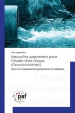 Nouvelles approches pour l'etude d'un reseau d'assainissement