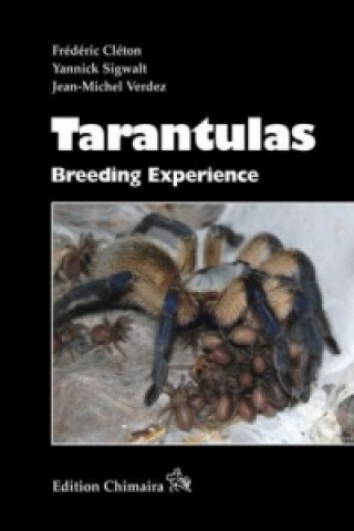 Tarantulas