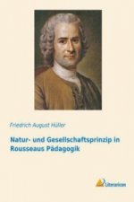 Natur- und Gesellschaftsprinzip in Rousseaus Pädagogik