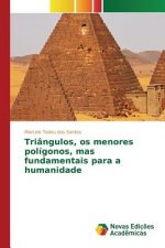 Triangulos, os menores poligonos, mas fundamentais para a humanidade