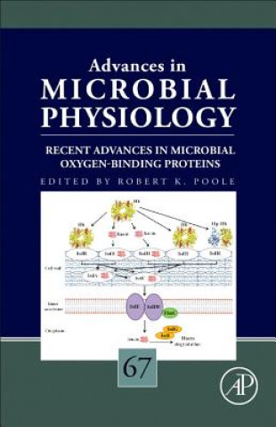 Recent Advances in Microbial Oxygen-Binding Proteins