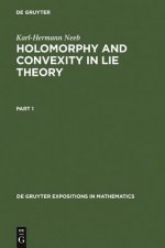 Holomorphy and Convexity in Lie Theory