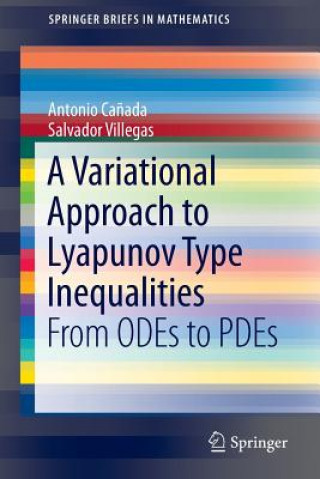 Variational Approach to Lyapunov Type Inequalities