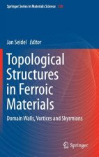 Topological Structures in Ferroic Materials