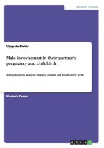 Male invovlement in their partner's pregnancy and childbirth