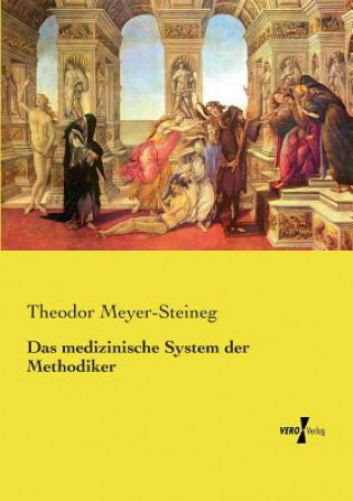 medizinische System der Methodiker