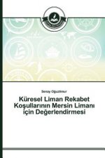 Kuresel Liman Rekabet Koşullarının Mersin Limanı icin Değerlendirmesi