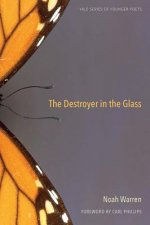 Destroyer in the Glass