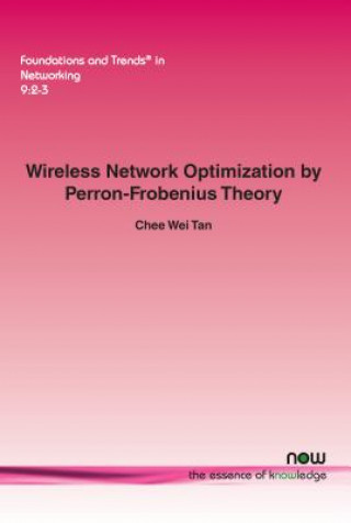 Wireless Network Optimization by Perron-Frobenius Theory