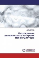 Nahozhdenie optimal'nyh nastroek PI-regulyatora