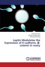 Leptin Modulates the Expression of E-cadherin, β-catenin in ovary