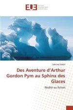 Des Aventure d'Arthur Gordon Pym Au Sphinx Des Glaces