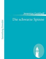 schwarze Spinne