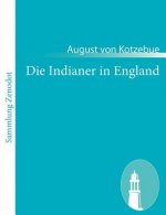 Indianer in England