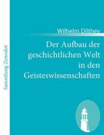 Aufbau der geschichtlichen Welt in den Geisteswissenschaften