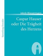Caspar Hauser oder Die Tragheit des Herzens