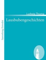 Lausbubengeschichten