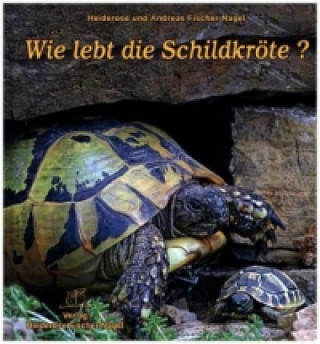 Wie lebt die Schildkröte?