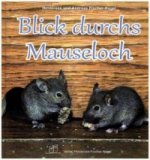 Blick durchs Mauseloch