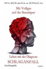 Mit Vollgas auf die Standspur - Leben mit der Diagnose Schlaganfall