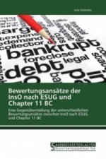 Bewertungsansätze der InsO nach ESUG und Chapter 11 BC