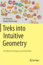 Treks into Intuitive Geometry