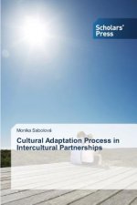 Cultural Adaptation Process in Intercultural Partnerships