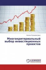 Mnogokriterial'nyj vybor investicionnyh proektov
