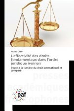 L'effectivite des droits fondamentaux dans l'ordre juridique ivoirien
