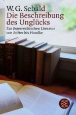 Die Beschreibung des Unglücks