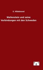 Wallenstein und seine Verbindungen mit den Schweden
