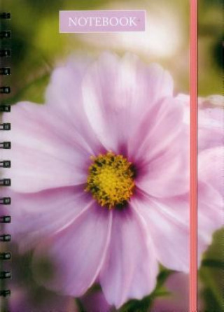 Notebook Pink Cosmos