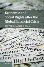 Economic and Social Rights after the Global Financial Crisis