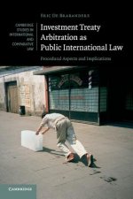 Investment Treaty Arbitration as Public International Law